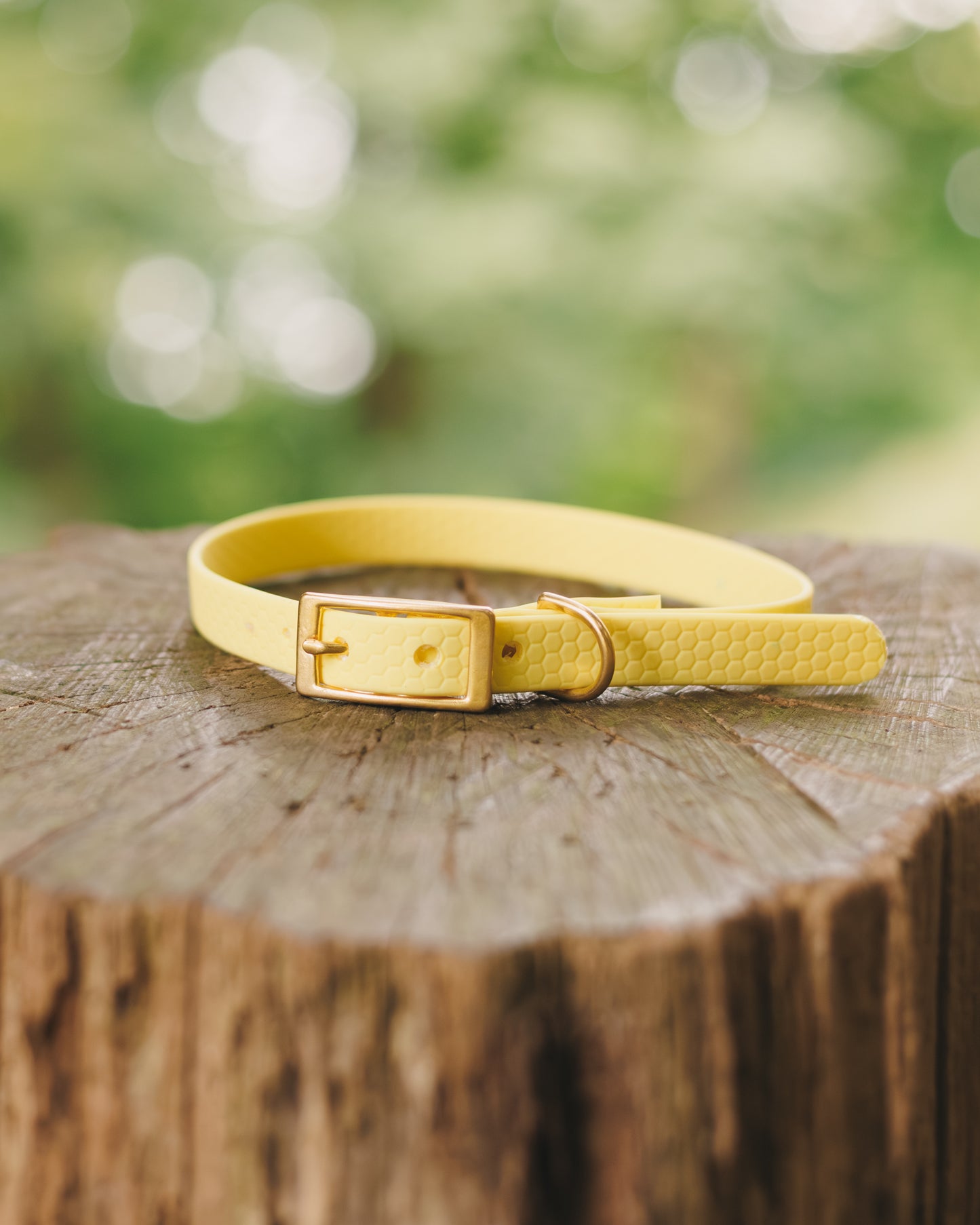 16mm Everyday Collar - Waterproof, Durable