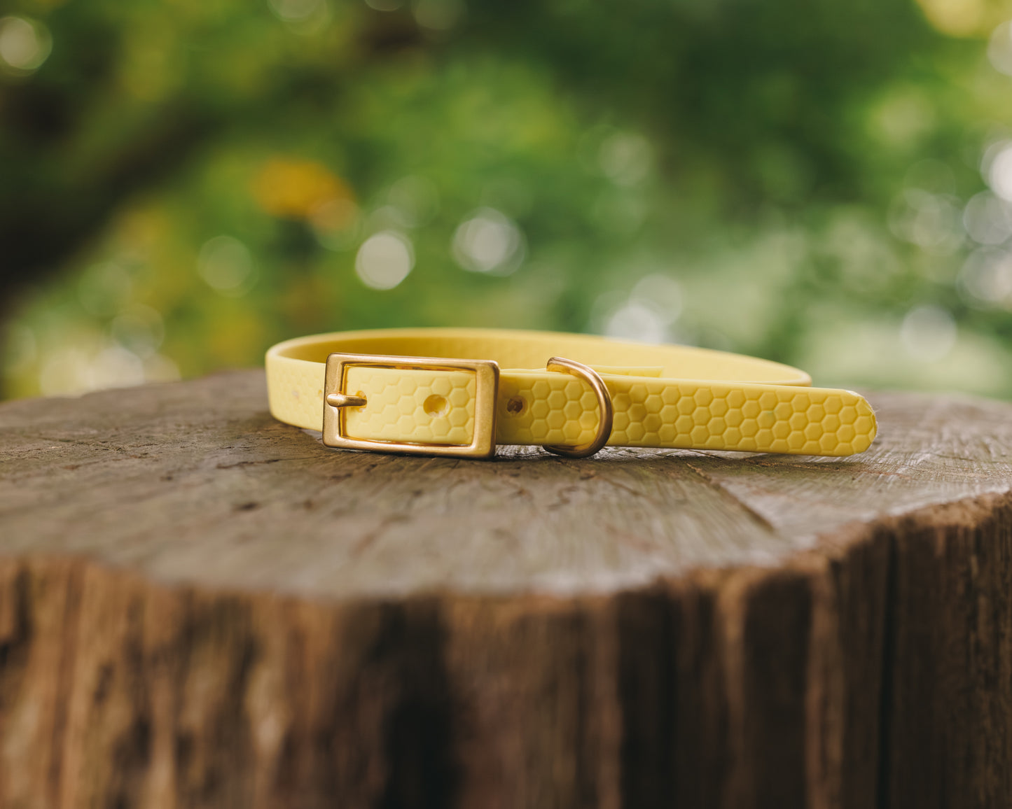 16mm Everyday Collar - Waterproof, Durable