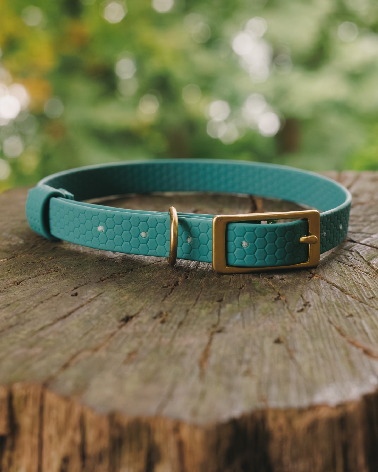 16mm Everyday Collar - Waterproof, Durable