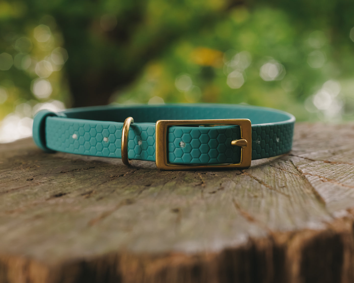16mm Everyday Collar - Waterproof, Durable
