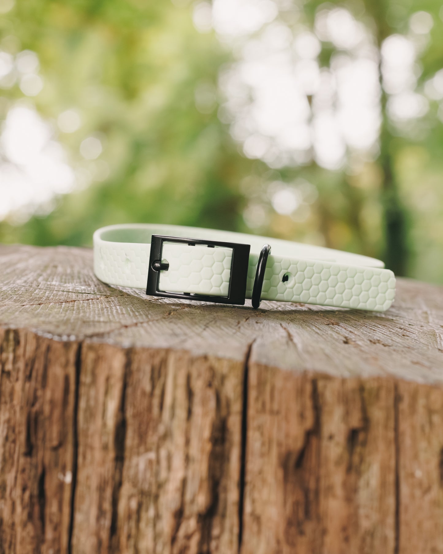 16mm Everyday Collar - Waterproof, Durable