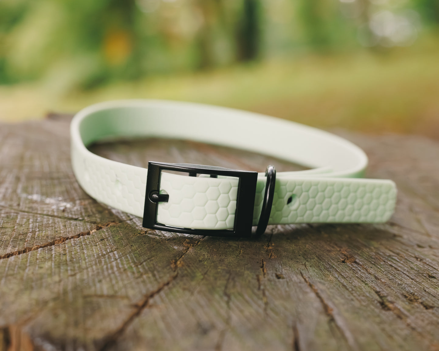 16mm Everyday Collar - Waterproof, Durable