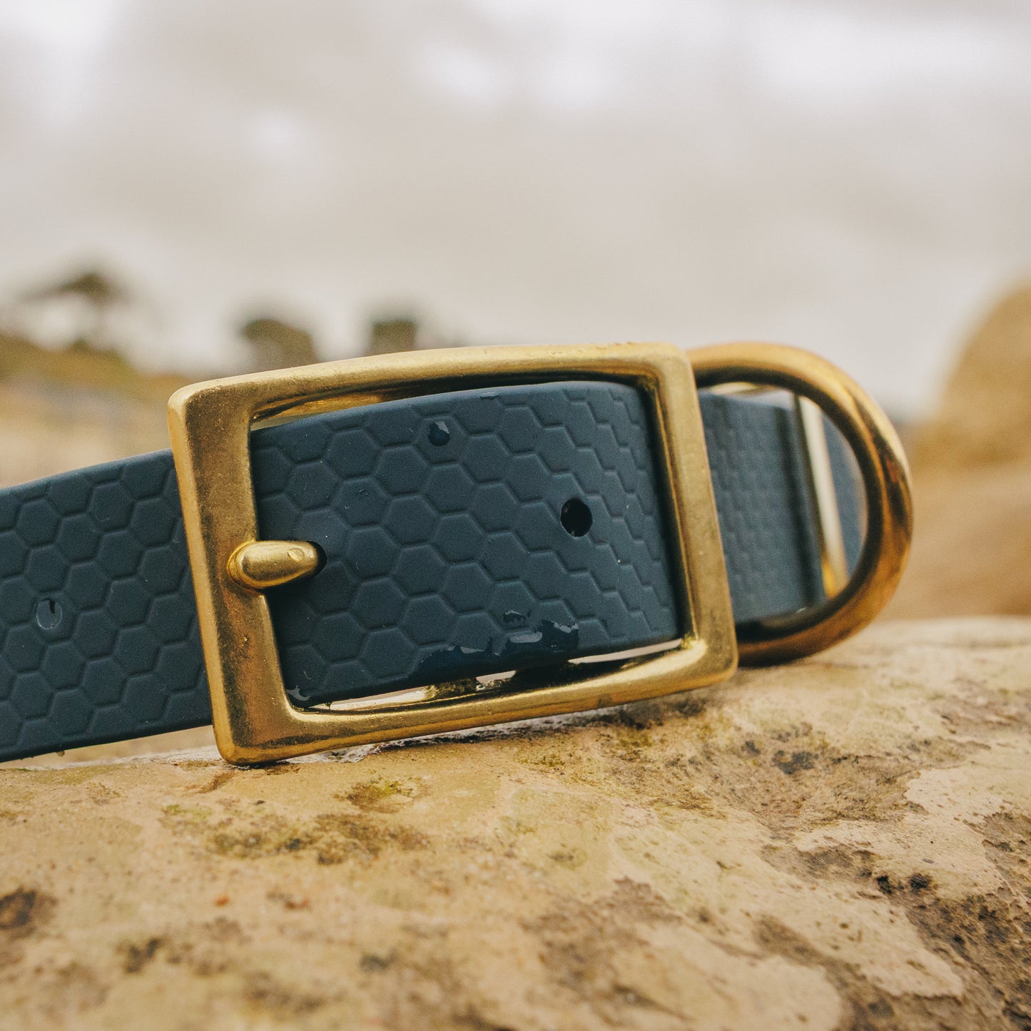 25mm Everyday Dog Collar, Soft Navy – Reliable, Waterproof & Adventure-Ready