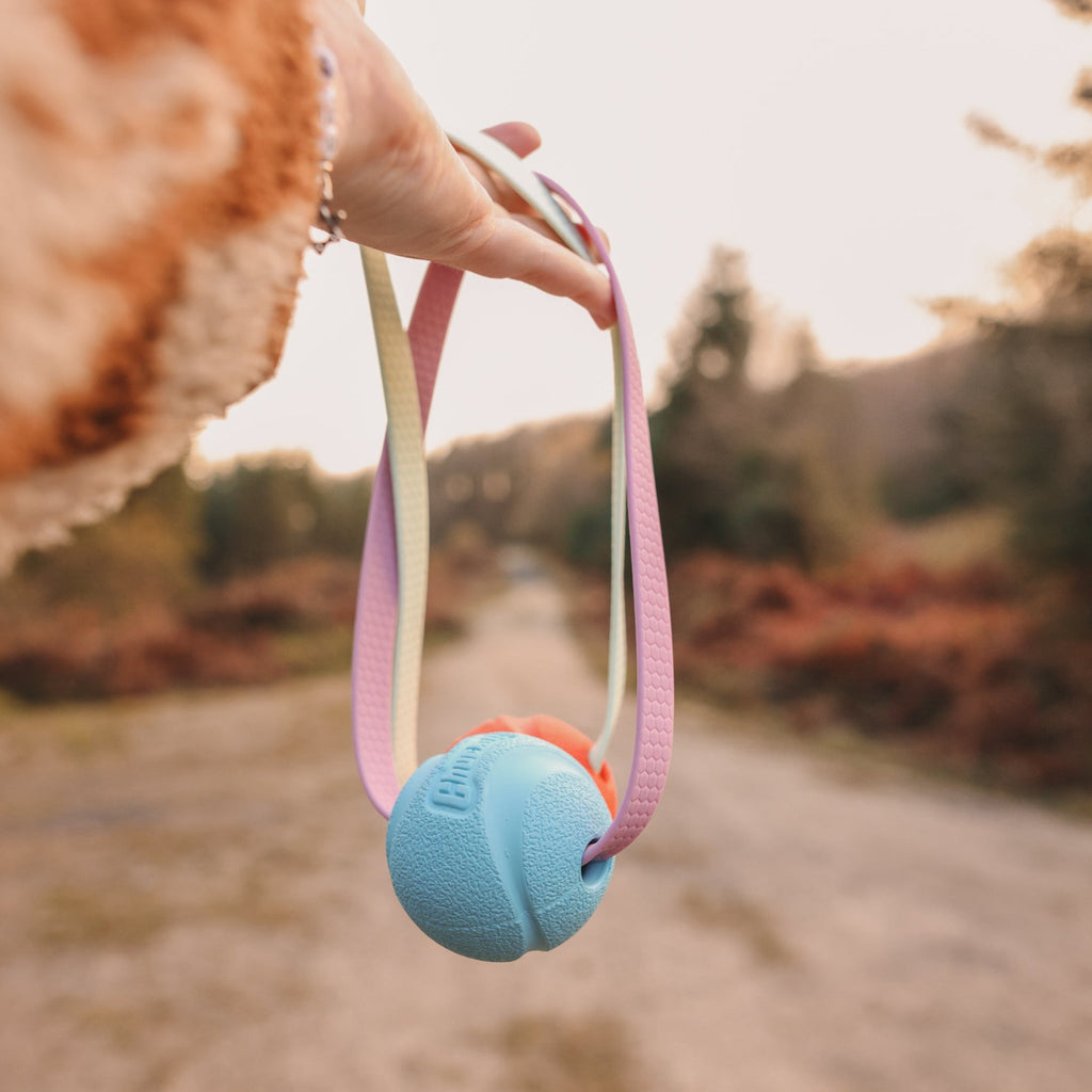 Pocket Chuckit Tuggie - Blue