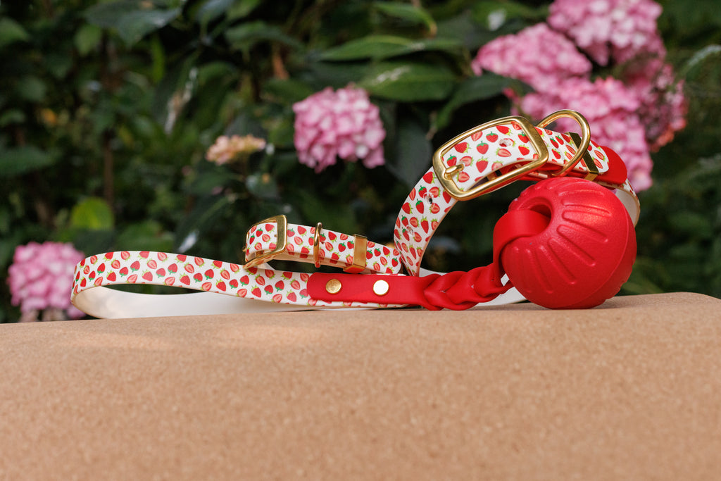 Limited Edition - Strawberry Ball Tug