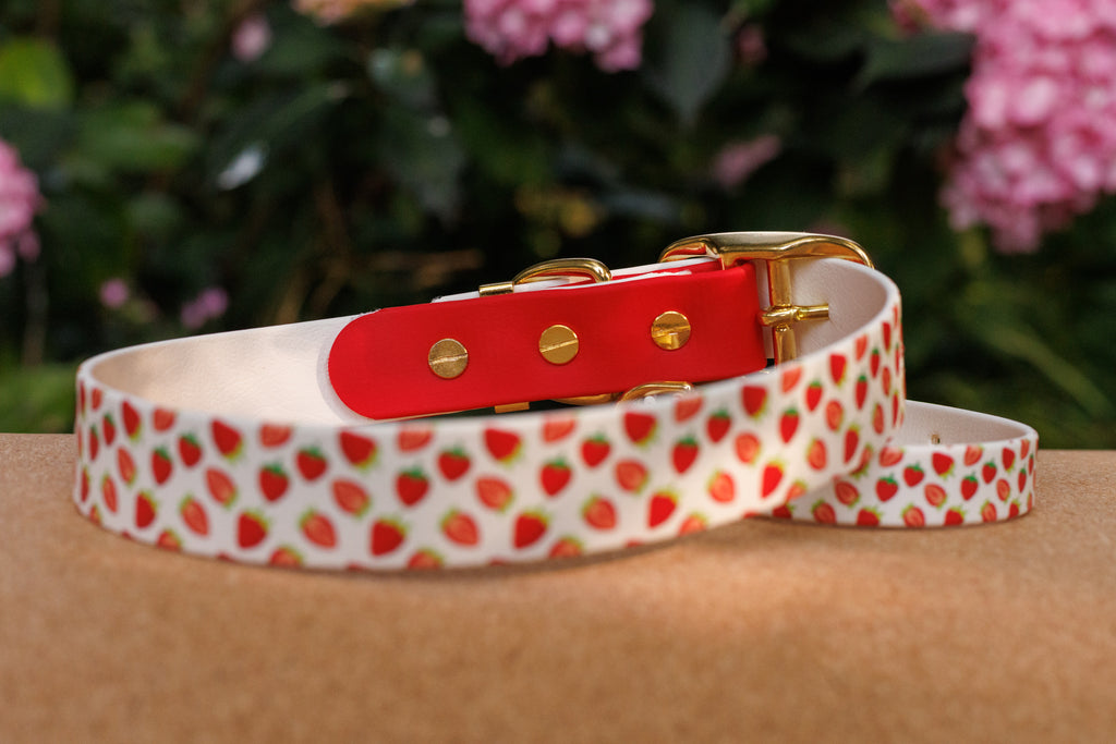 Limited Edition - Strawberry Print Biothane Collar