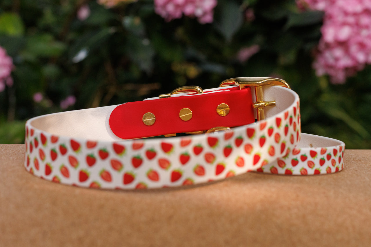 Limited Edition - Strawberry Print Biothane Collar