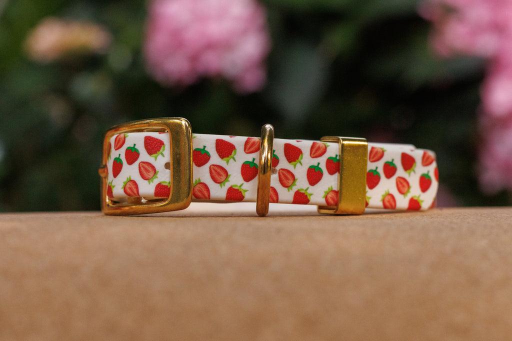Limited Edition - Strawberry Print Biothane Collar