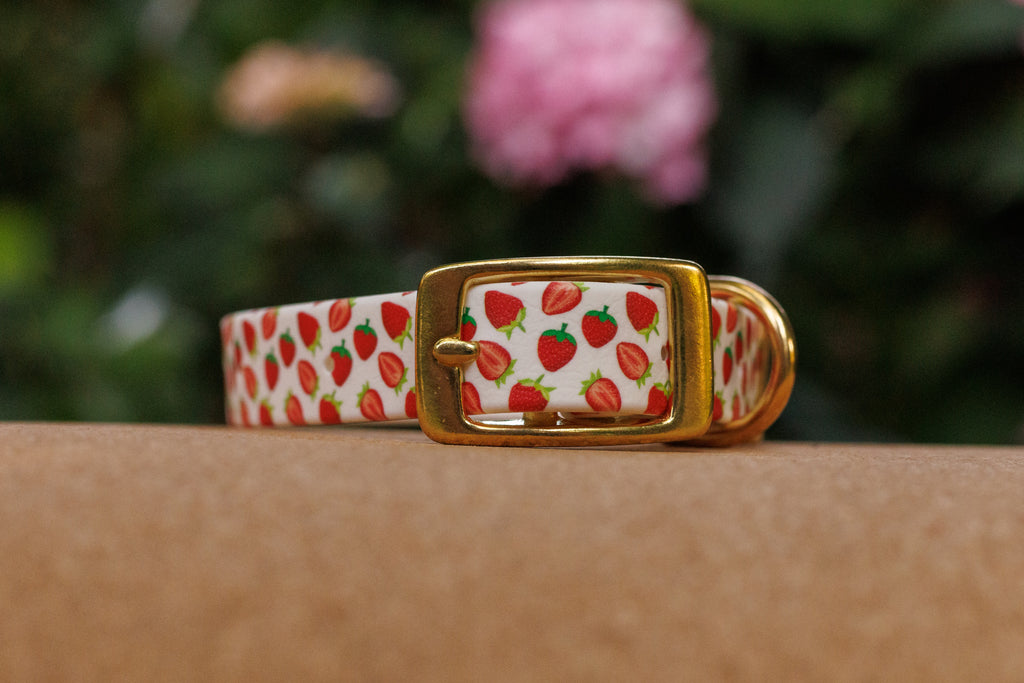 Limited Edition - Strawberry Print Biothane Collar