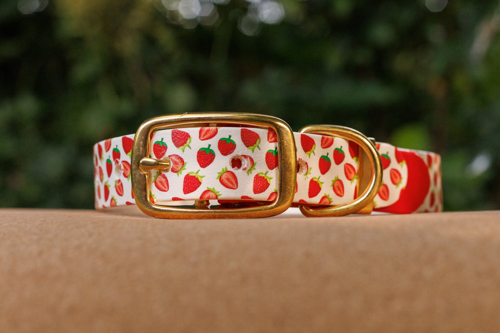 Limited Edition - Strawberry Print Biothane Collar