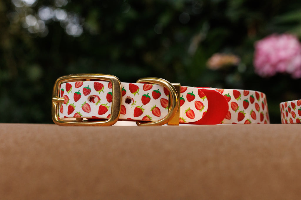 Limited Edition - Strawberry Print Biothane Collar