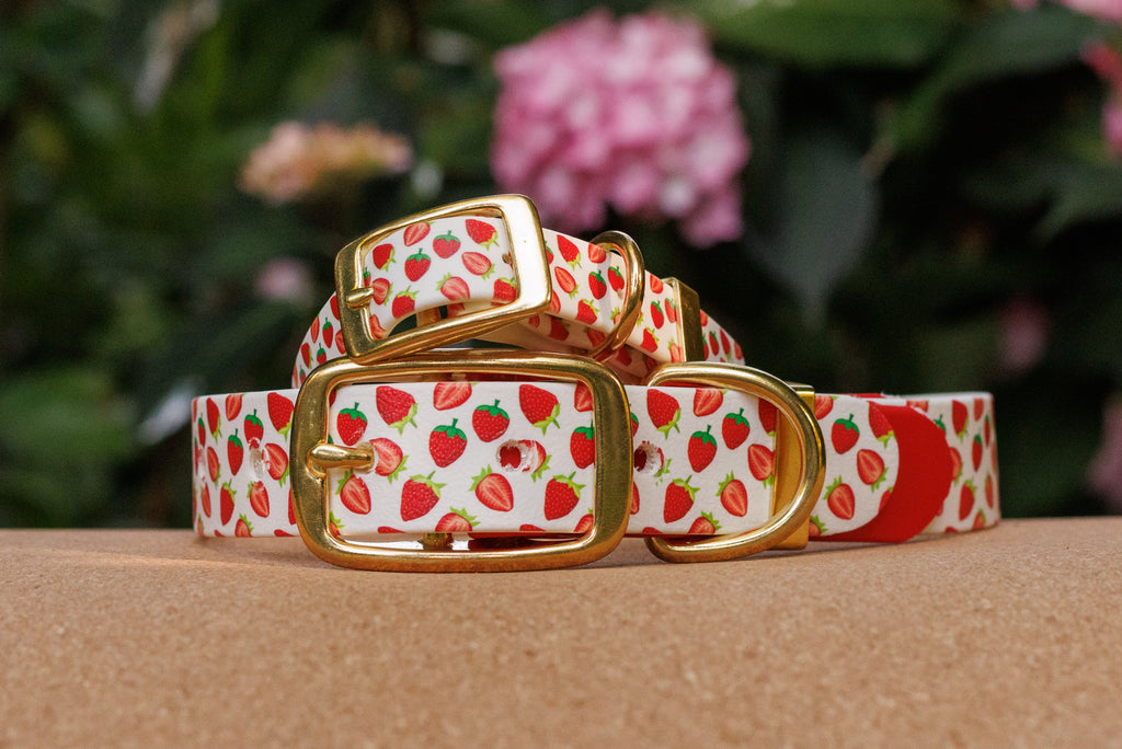 Limited Edition - Strawberry Print Biothane Collar