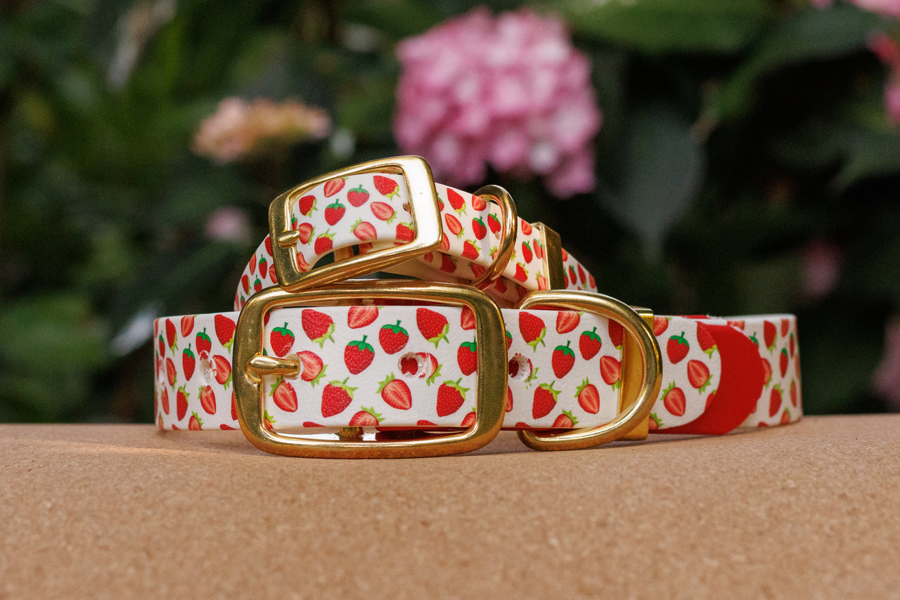 Limited Edition - Strawberry Print Biothane Collar