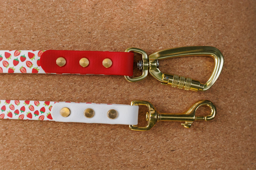 Limited Edition - Strawberry Print Biothane Lead 120cm