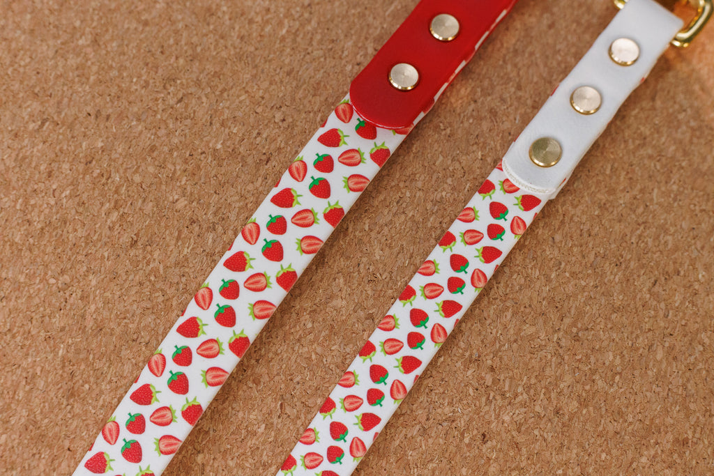 Limited Edition - Strawberry Print Biothane Lead 120cm