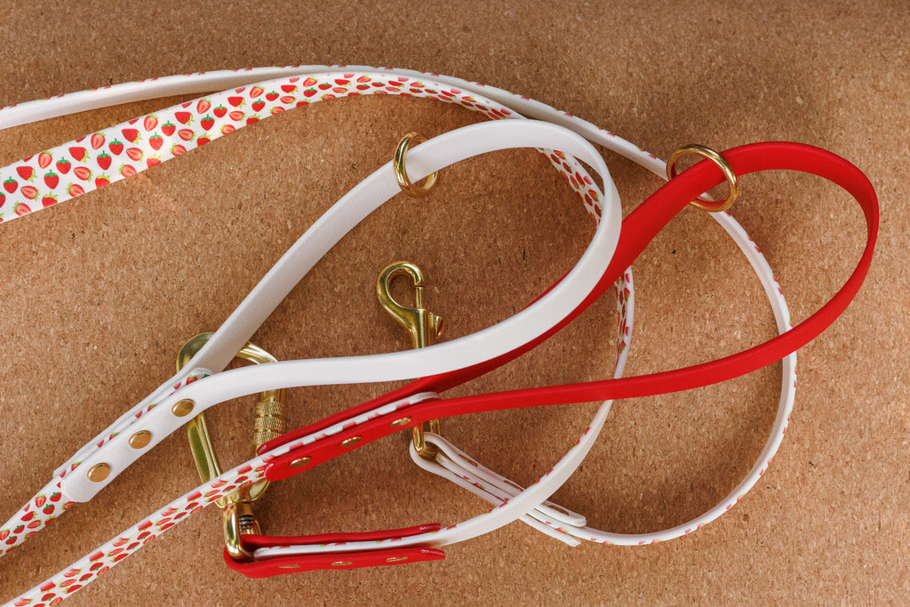 Limited Edition - Strawberry Print Biothane Lead 120cm