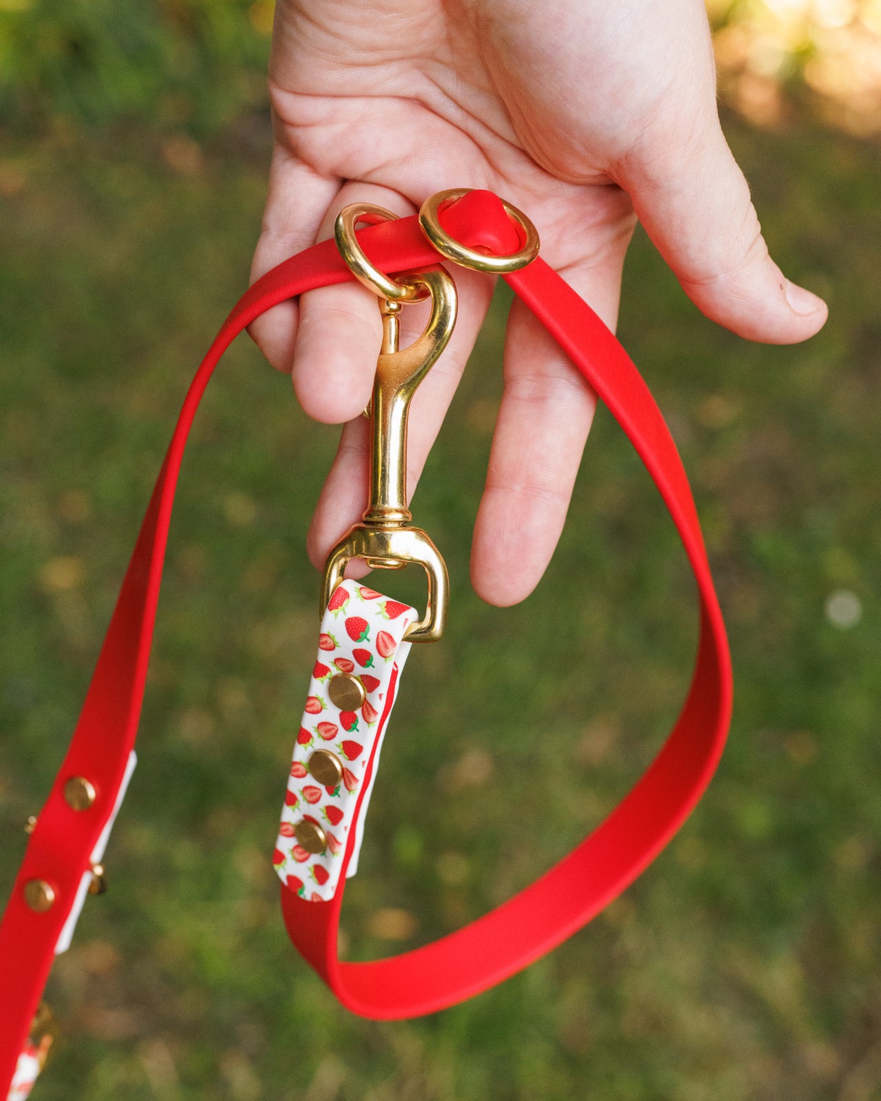 Limited Edition - Strawberry Print Biothane 2m Multiway Lead