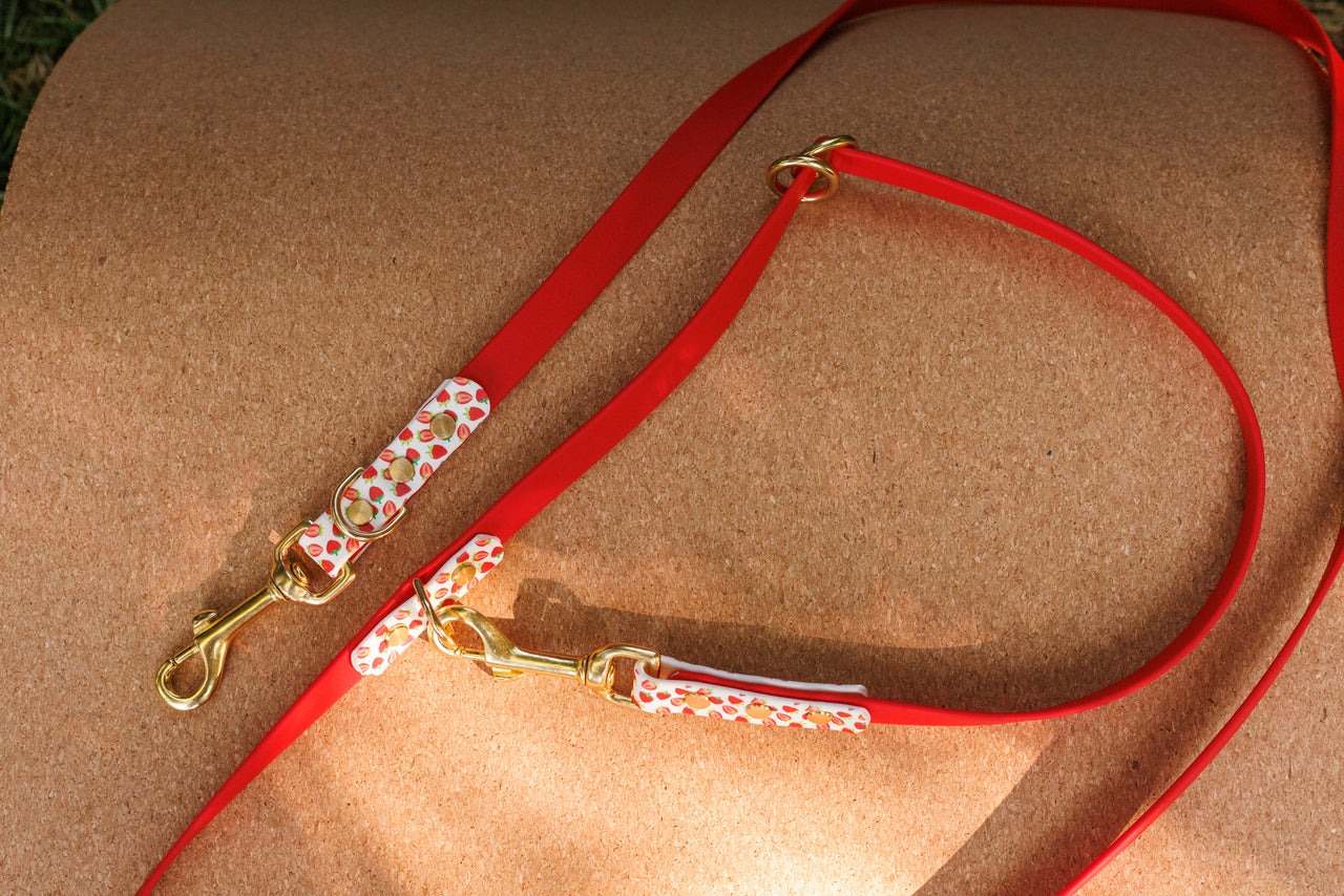 Limited Edition - Strawberry Print Biothane 2m Multiway Lead