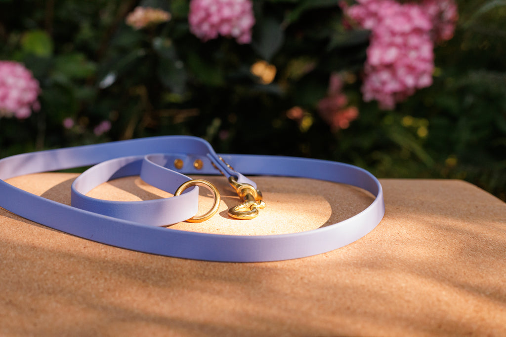 Premium Biothane Dog Lead