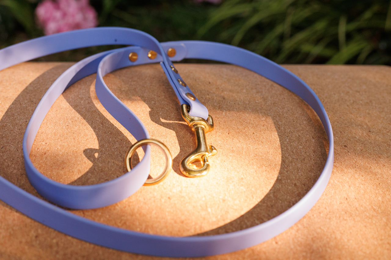 Premium Biothane Dog Lead