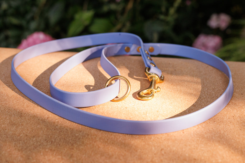 Premium Biothane Dog Lead
