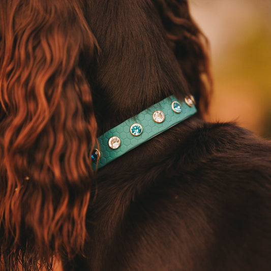 16mm Custom Adventure-Proof Rhinestone Dog Collar