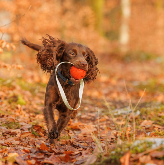 Pocket Chuckit Tuggie - Orange