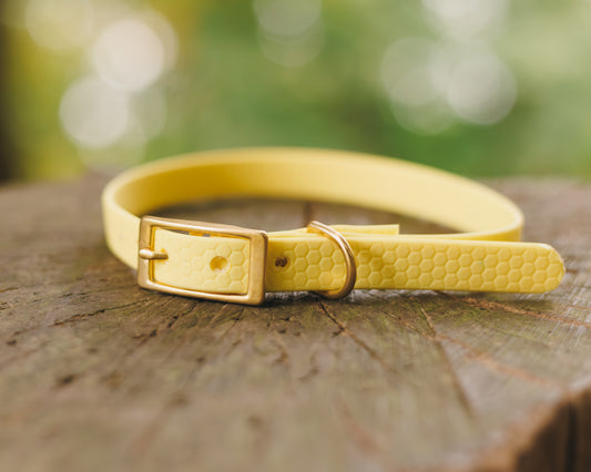 16mm Everyday Collar - Waterproof, Durable