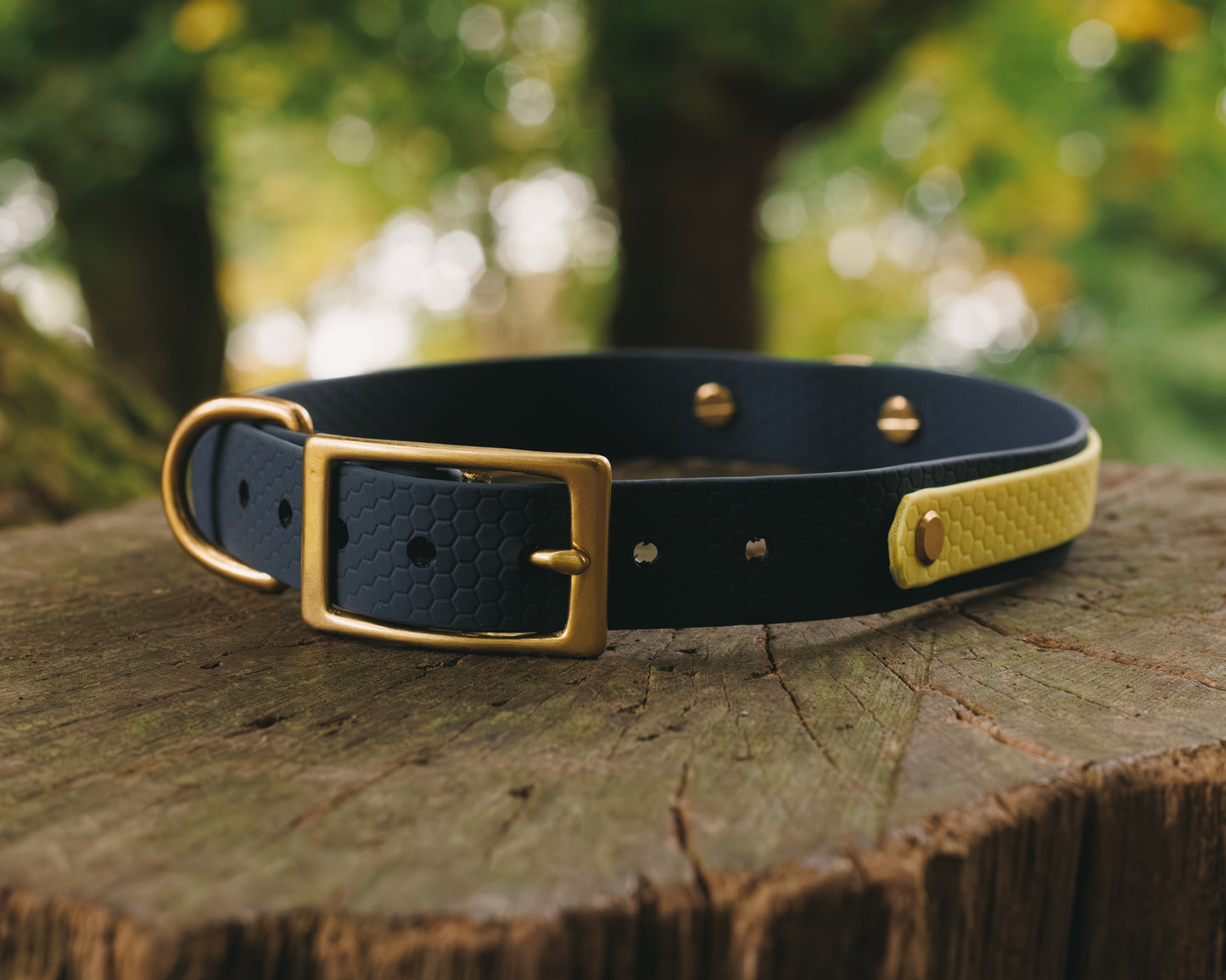 16mm Everyday Collar - Waterproof, Durable