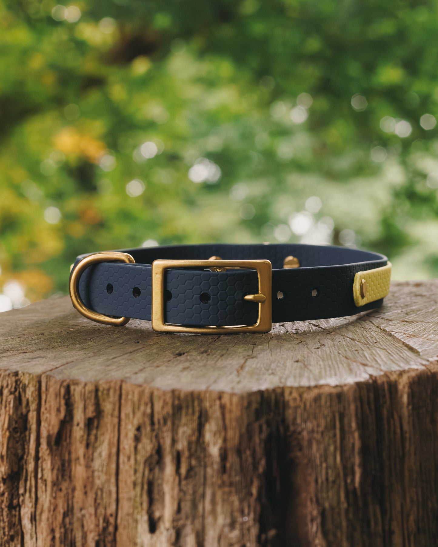 16mm Everyday Collar - Waterproof, Durable