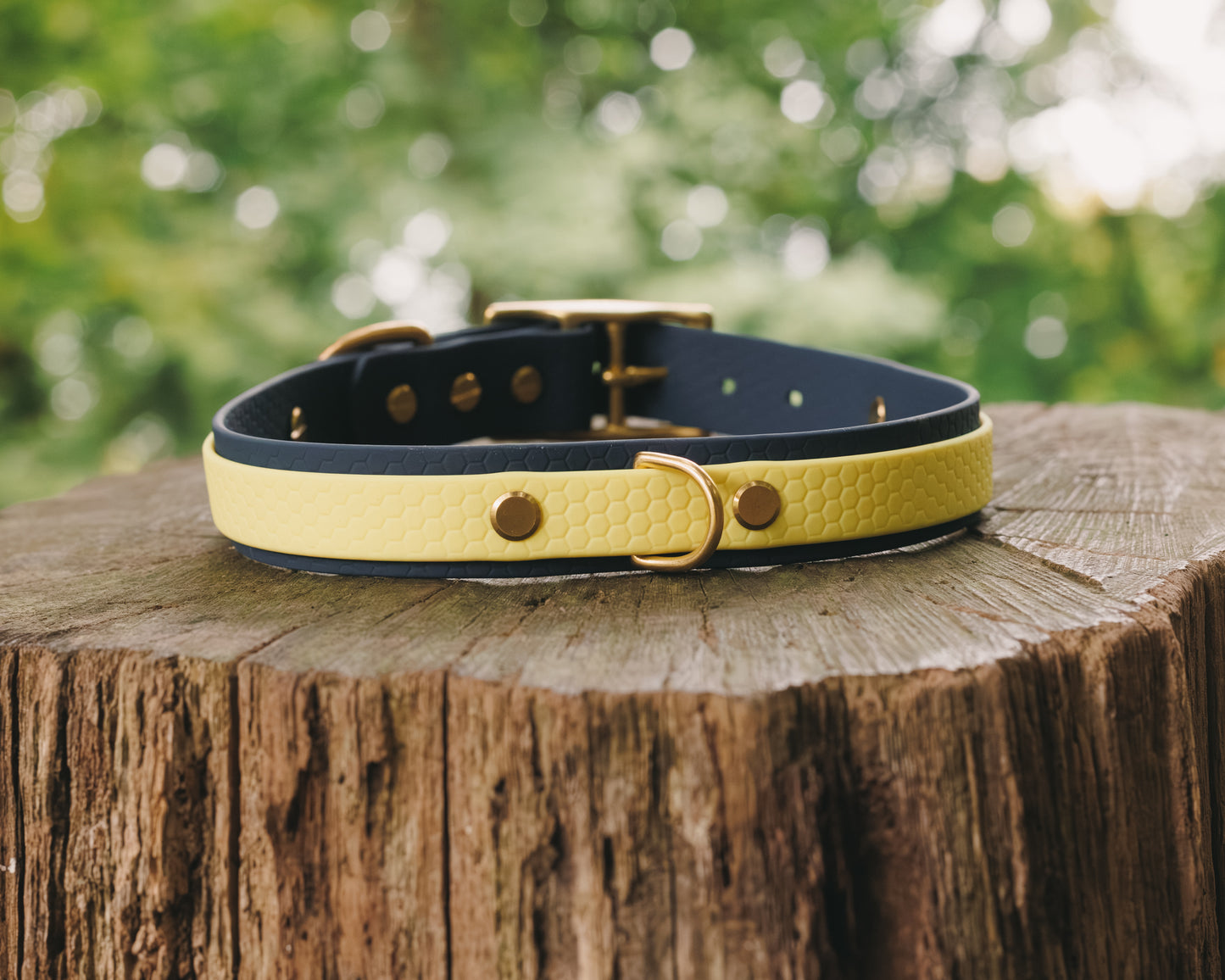 16mm Everyday Collar - Waterproof, Durable