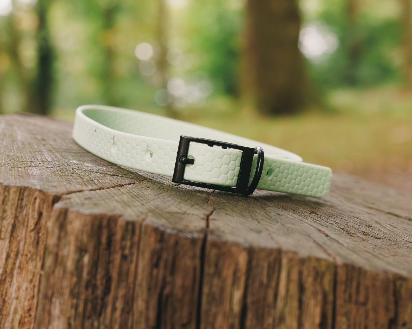 16mm Everyday Collar - Waterproof, Durable