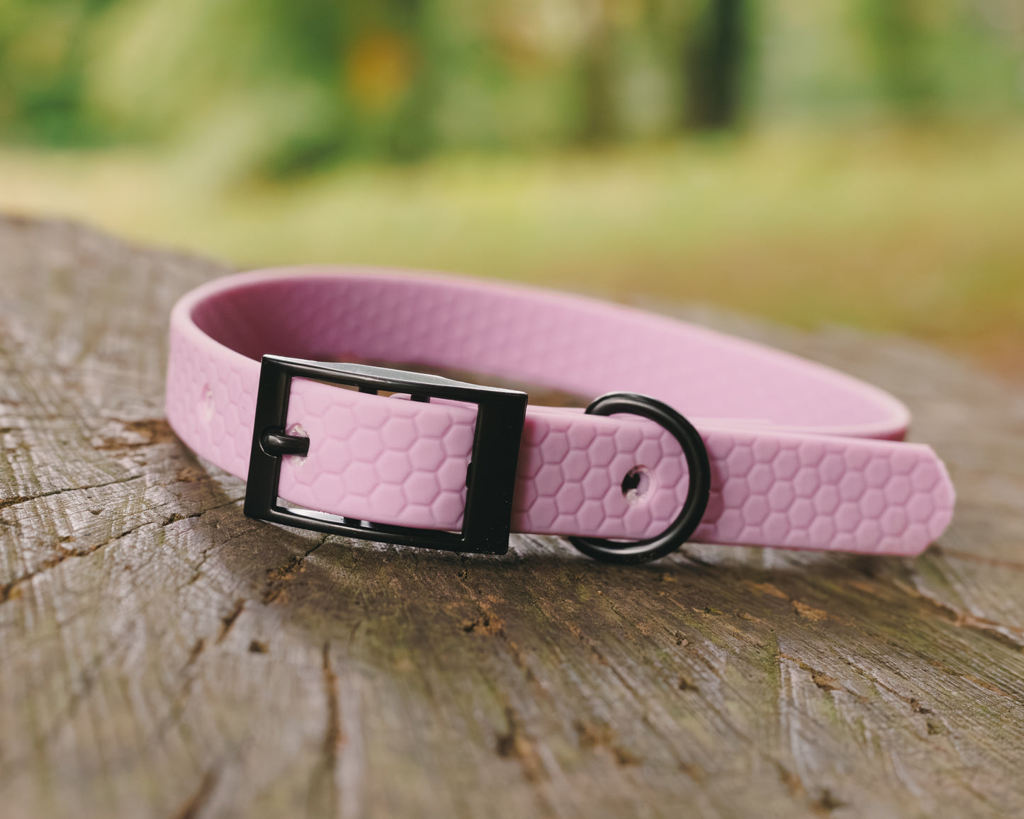 16mm Everyday Collar - Waterproof, Durable