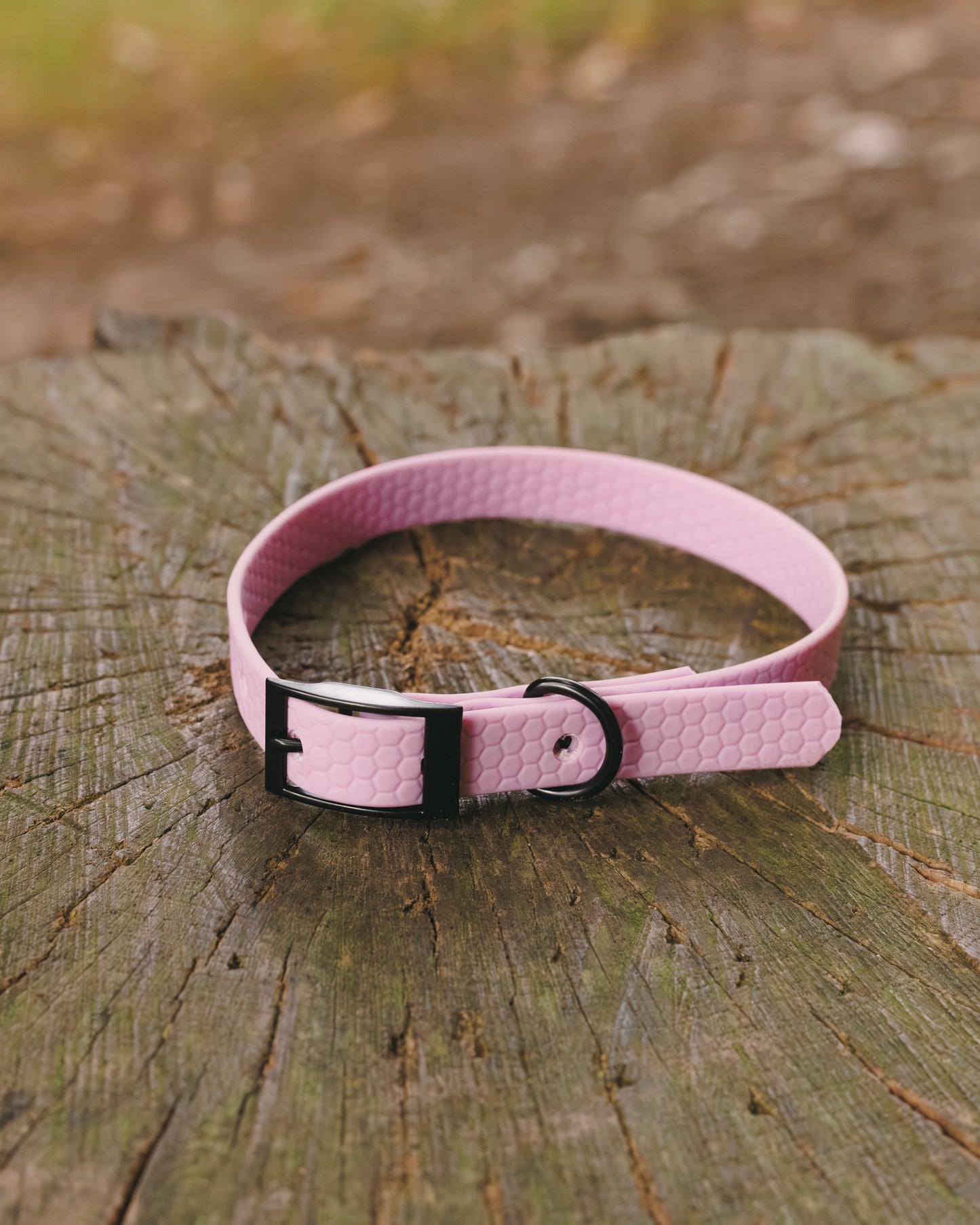 16mm Everyday Collar - Waterproof, Durable
