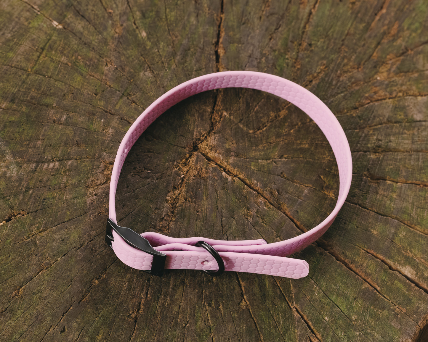 16mm Everyday Collar - Waterproof, Durable