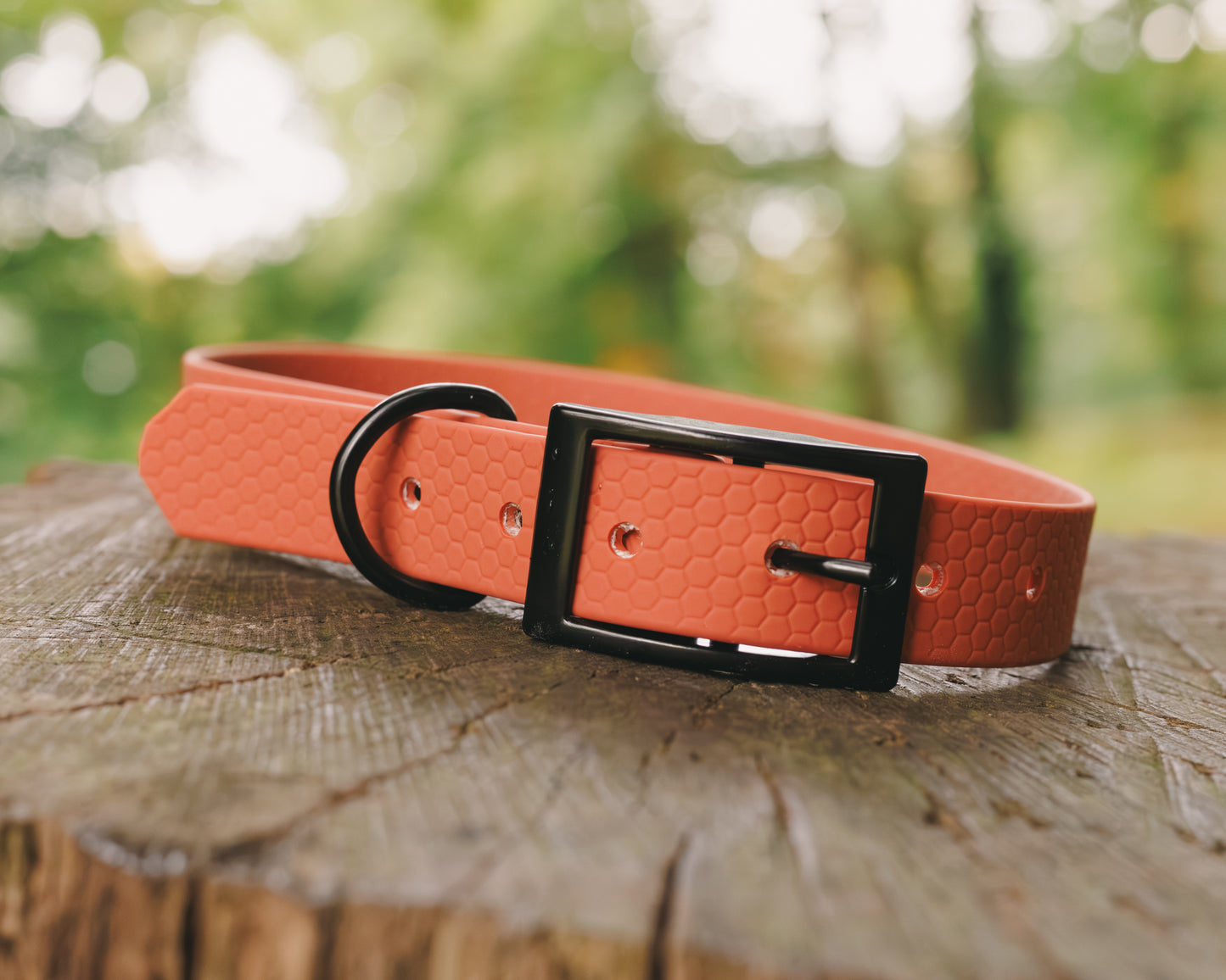 16mm Everyday Collar - Waterproof, Durable
