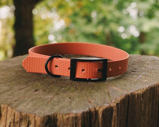 25mm Everyday Collar - Waterproof, Durable