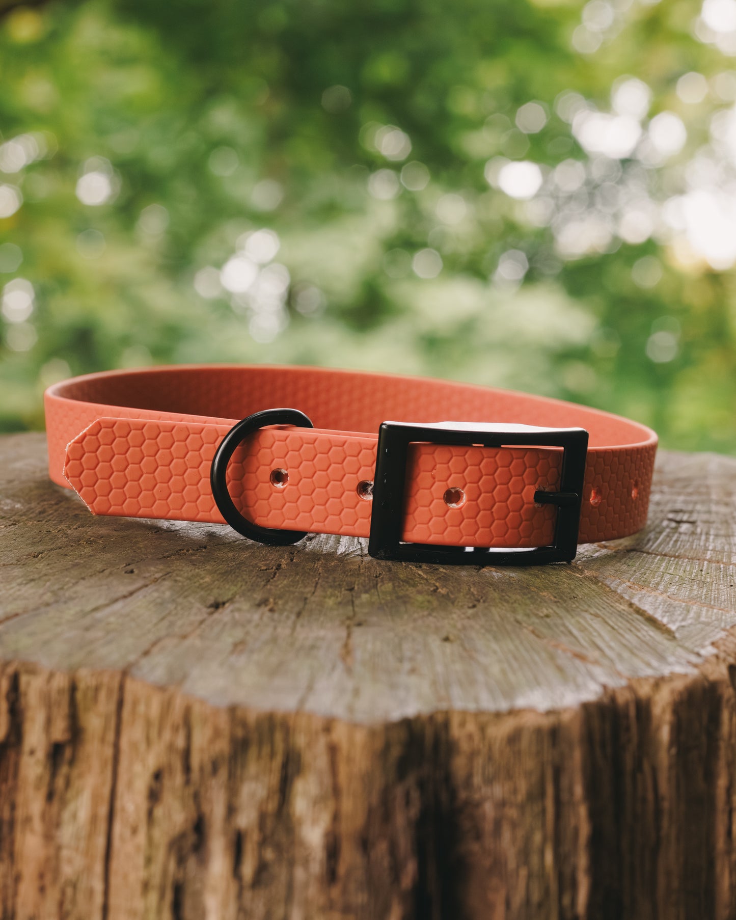 16mm Everyday Collar - Waterproof, Durable