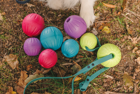 Durafoam Ball with Waterproof Handle