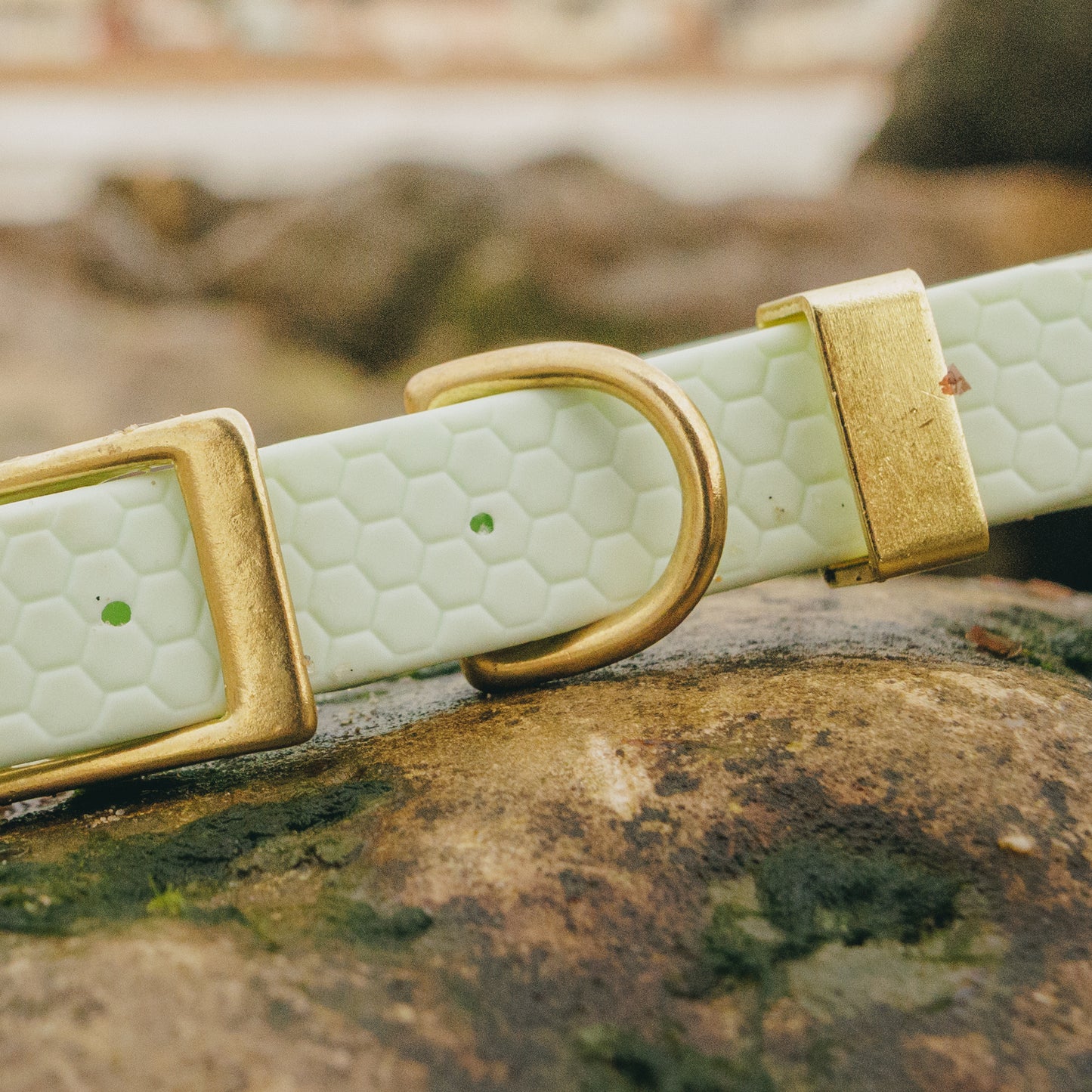 16mm Everyday Dog Collar, Fresh Mint - Durable, Waterproof & Adventure-Ready