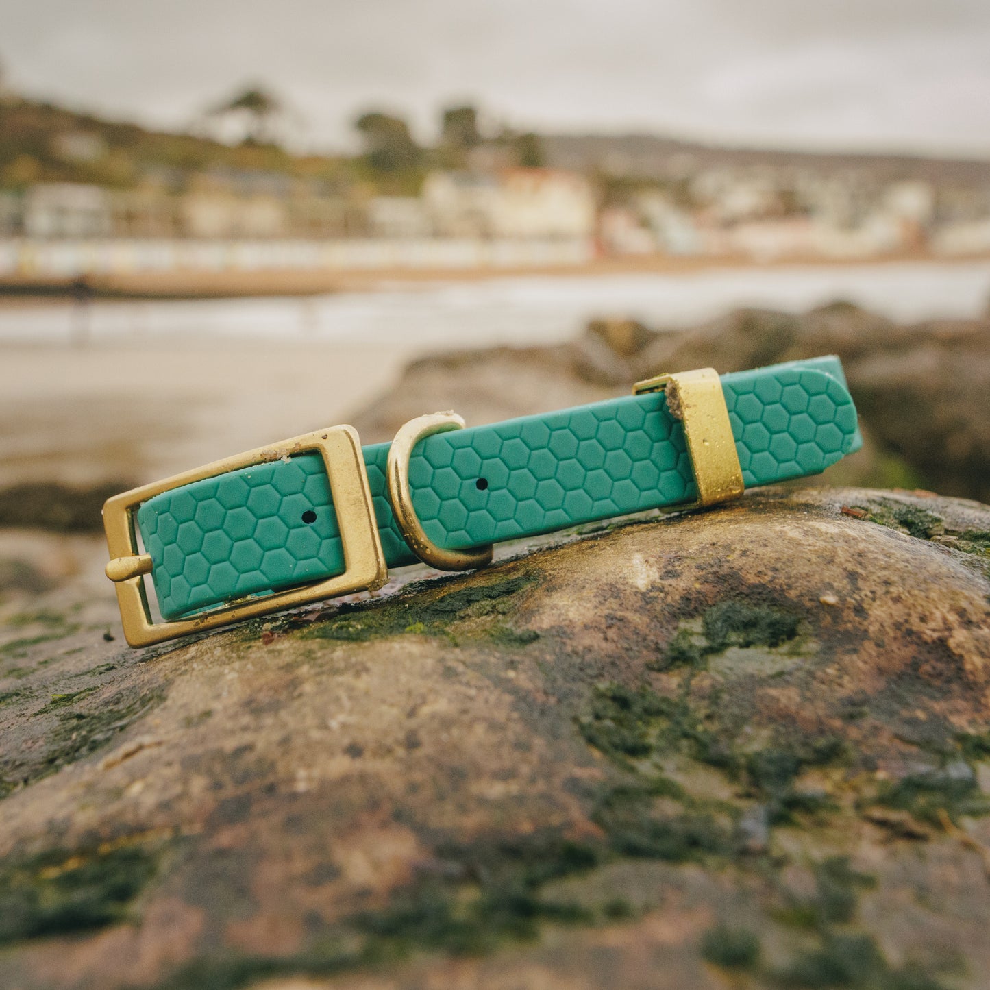 16mm Everyday Dog Collar, Hunter Green - Durable, Waterproof & Adventure-Ready