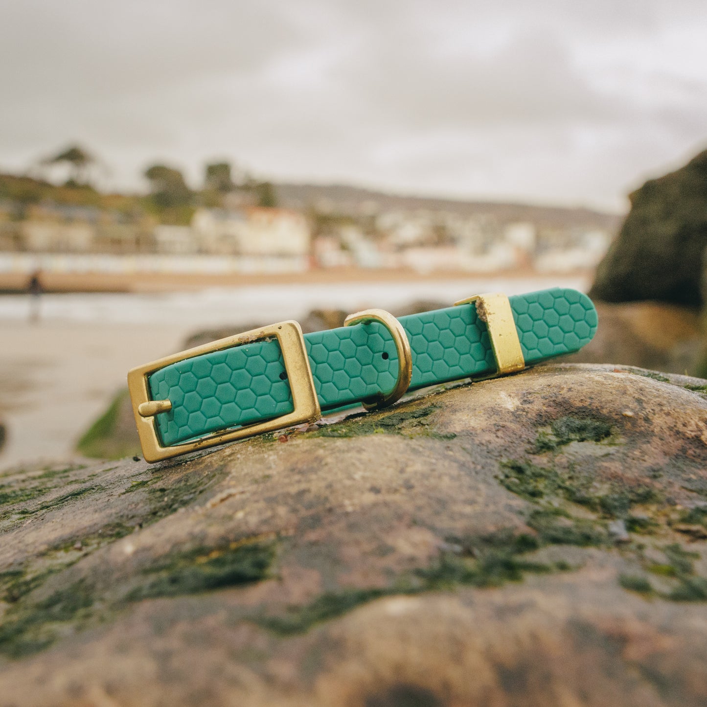 16mm Everyday Dog Collar, Hunter Green - Durable, Waterproof & Adventure-Ready