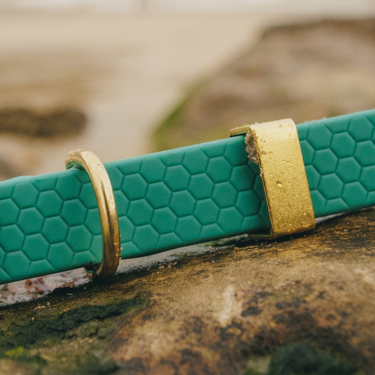 16mm Everyday Dog Collar, Hunter Green - Durable, Waterproof & Adventure-Ready