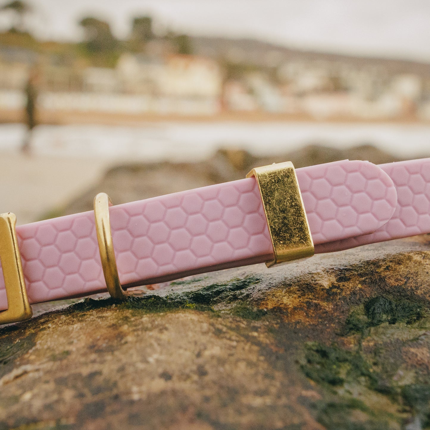 16mm Everyday Dog Collar, Lavender Haze - Durable, Waterproof & Adventure-Ready