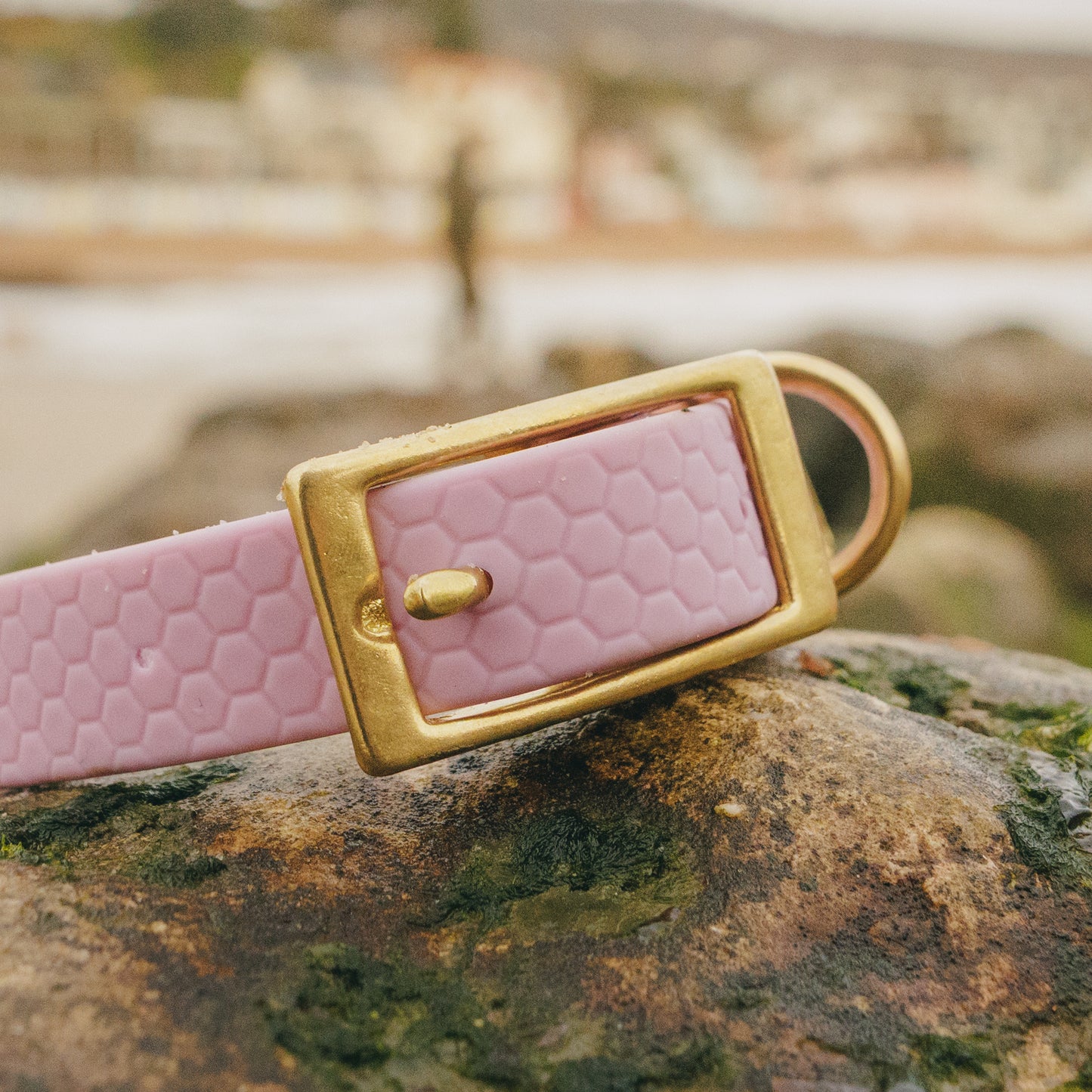 16mm Everyday Dog Collar, Lavender Haze - Durable, Waterproof & Adventure-Ready