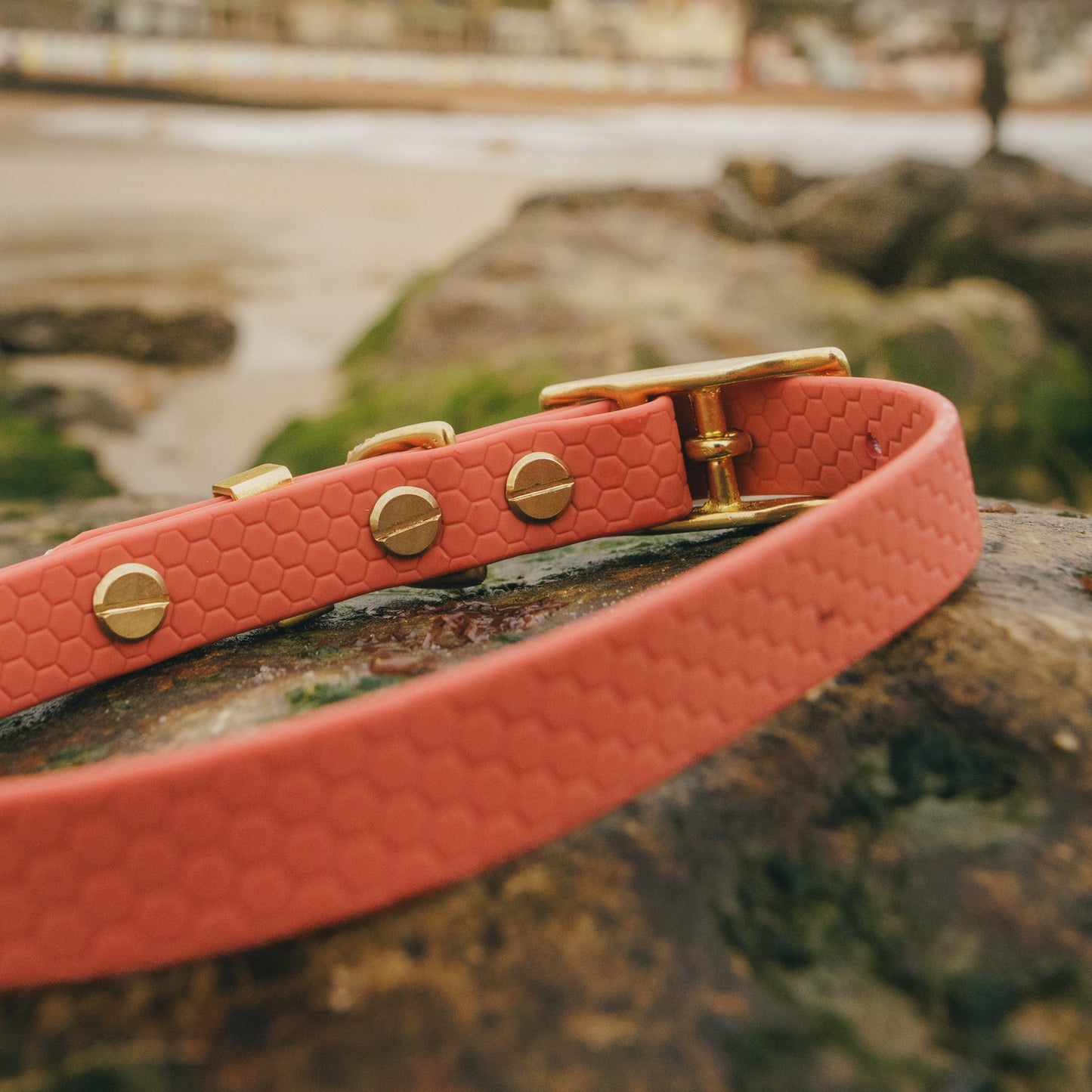 16mm Everyday Essentials Dog Collar, Burnt Apricot - Durable, Waterproof & Adventure-Ready
