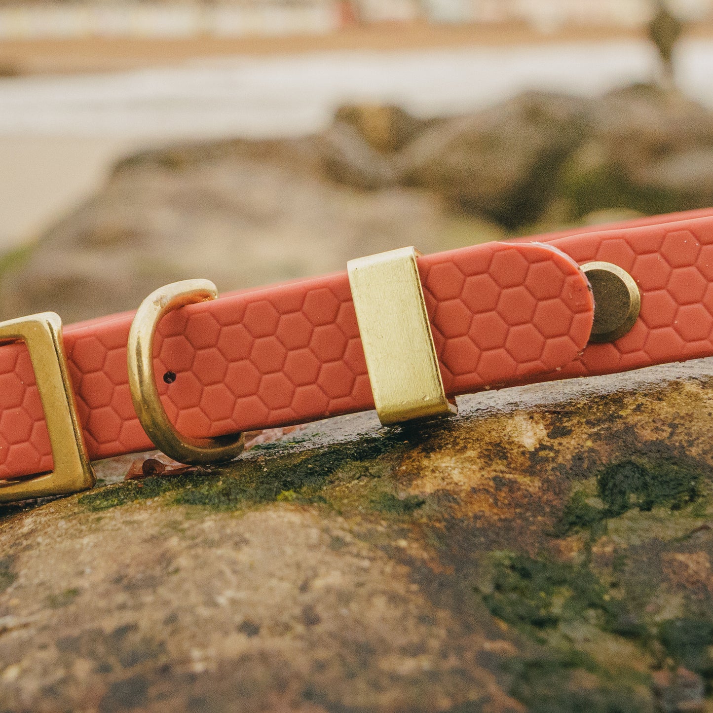 16mm Everyday Essentials Dog Collar, Burnt Apricot - Durable, Waterproof & Adventure-Ready