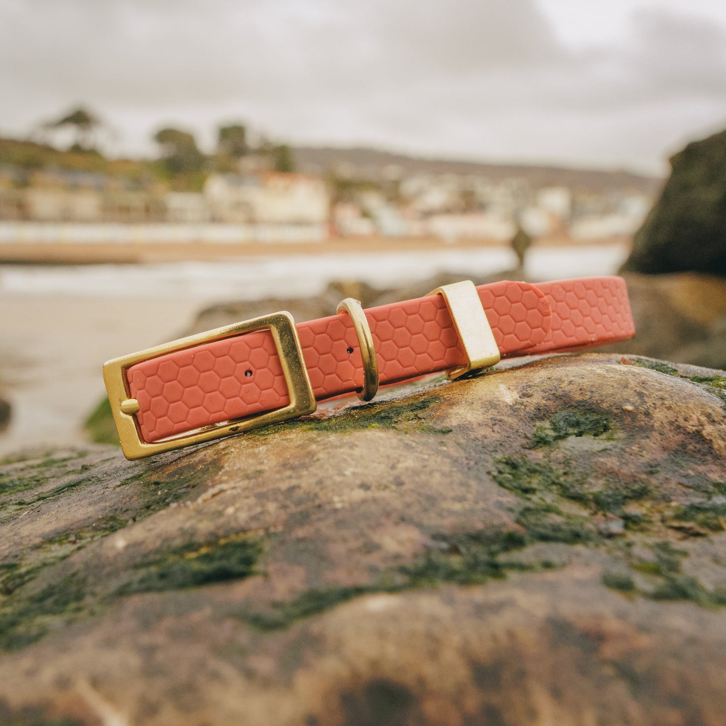 16mm Everyday Essentials Dog Collar, Burnt Apricot - Durable, Waterproof & Adventure-Ready