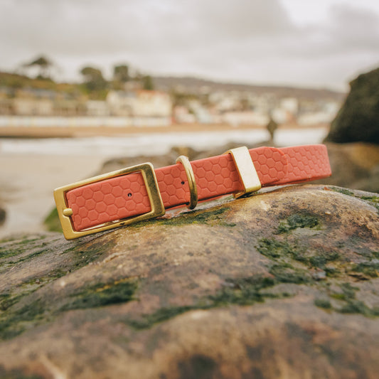 16mm Everyday Essentials Dog Collar, Burnt Apricot - Durable, Waterproof & Adventure-Ready