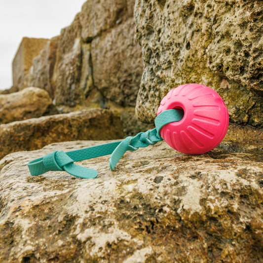 Durafoam Ball with Waterproof Handle